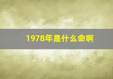 1978年是什么命啊