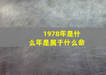 1978年是什么年是属于什么命