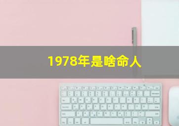 1978年是啥命人