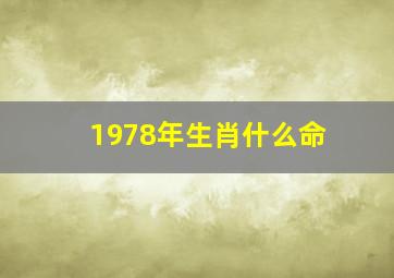 1978年生肖什么命