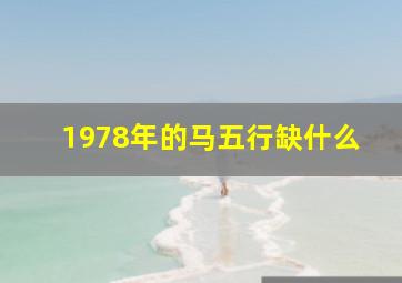 1978年的马五行缺什么