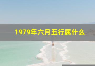 1979年六月五行属什么