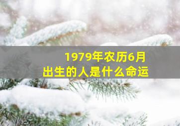 1979年农历6月出生的人是什么命运