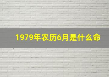 1979年农历6月是什么命