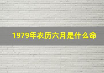 1979年农历六月是什么命