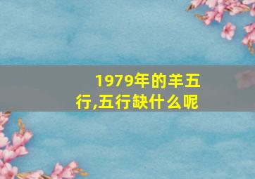 1979年的羊五行,五行缺什么呢