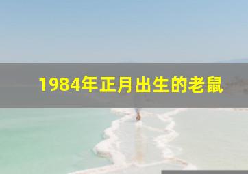 1984年正月出生的老鼠