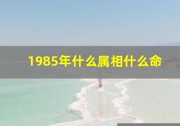 1985年什么属相什么命