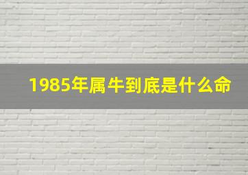 1985年属牛到底是什么命