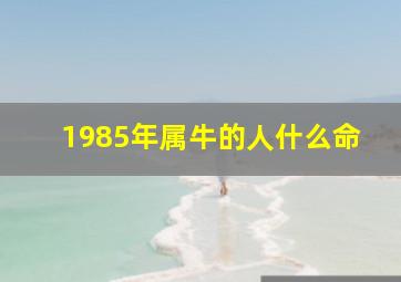 1985年属牛的人什么命