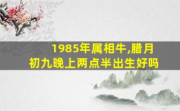 1985年属相牛,腊月初九晚上两点半出生好吗