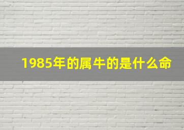 1985年的属牛的是什么命