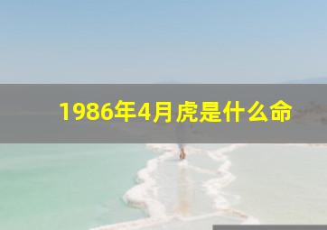 1986年4月虎是什么命