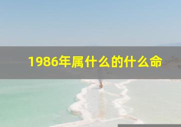 1986年属什么的什么命