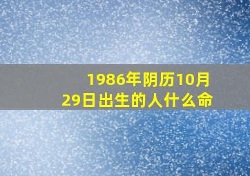 1986年阴历10月29日出生的人什么命