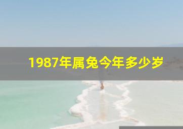 1987年属兔今年多少岁