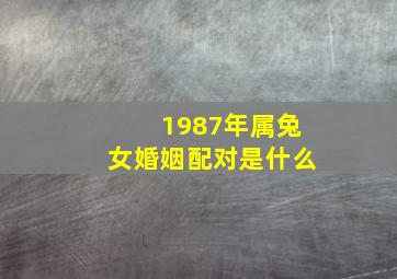 1987年属兔女婚姻配对是什么