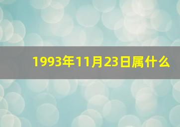 1993年11月23日属什么