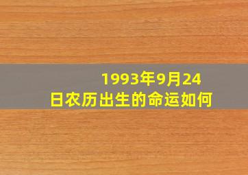 1993年9月24日农历出生的命运如何