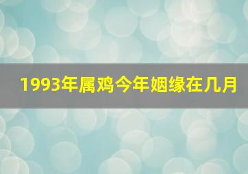 1993年属鸡今年姻缘在几月