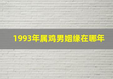 1993年属鸡男姻缘在哪年