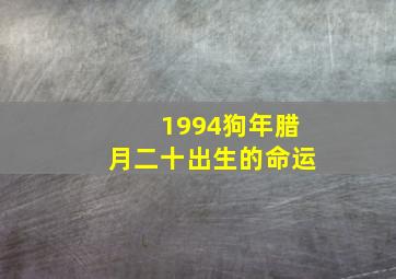 1994狗年腊月二十出生的命运