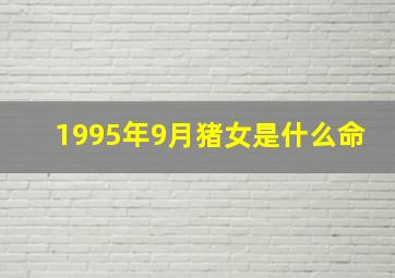 1995年9月猪女是什么命