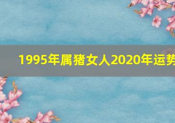 1995年属猪女人2020年运势