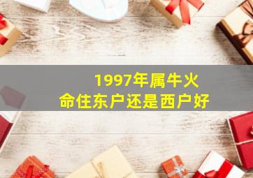 1997年属牛火命住东户还是西户好