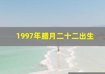 1997年腊月二十二出生