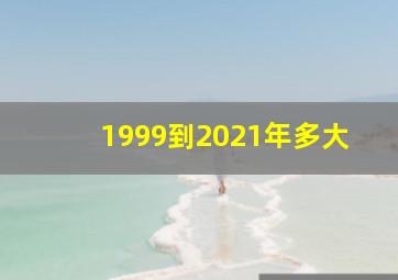 1999到2021年多大