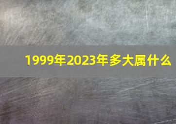 1999年2023年多大属什么