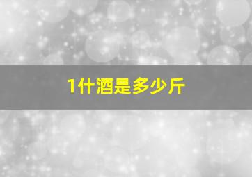 1什酒是多少斤