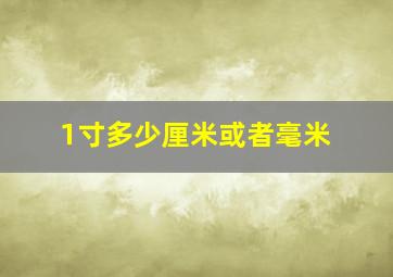 1寸多少厘米或者毫米