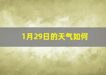 1月29日的天气如何