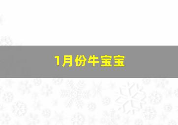 1月份牛宝宝