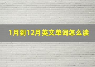 1月到12月英文单词怎么读