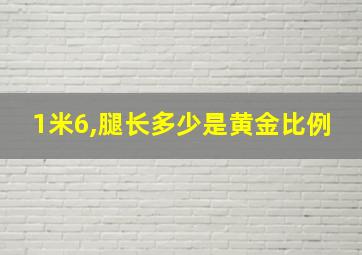 1米6,腿长多少是黄金比例