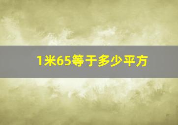 1米65等于多少平方