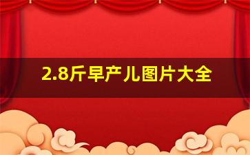 2.8斤早产儿图片大全