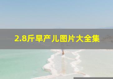 2.8斤早产儿图片大全集