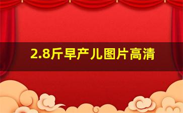 2.8斤早产儿图片高清