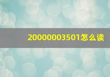 20000003501怎么读