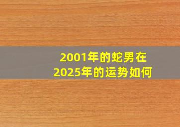 2001年的蛇男在2025年的运势如何