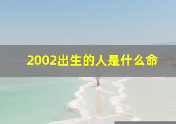 2002出生的人是什么命