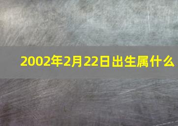 2002年2月22日出生属什么