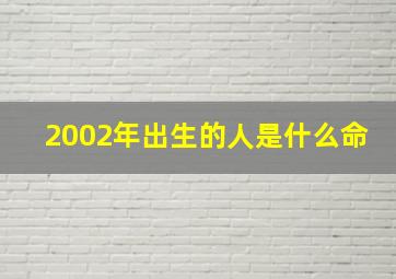 2002年出生的人是什么命