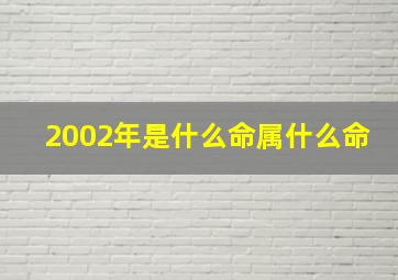 2002年是什么命属什么命