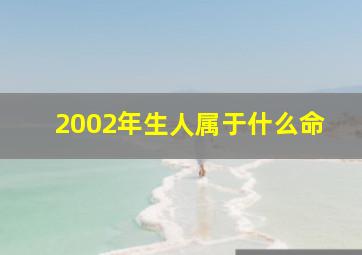 2002年生人属于什么命