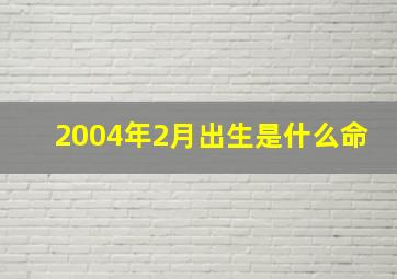 2004年2月出生是什么命